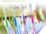 韓國廚房生活用品 熱門產(chǎn)品、價(jià)格參考與選購指南
