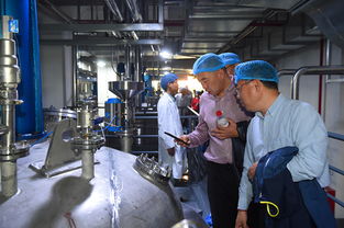 上海蜂花智能工廠投產，4億元投資驅動產業升級與互聯網銷售新布局